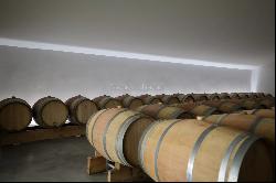 Elegant vineyard property AOP of the Languedoc 38 ha with modern cellar and house