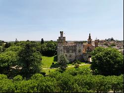 EXCLUSIVE Medieval castle near Uzès