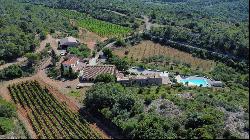 Isolated property with breathtaking views 10 ha, Farmhouse and Gites, small vineyard