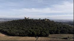 19th-century castle with 360° panoramic view!