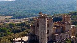 19th-century castle with 360° panoramic view!