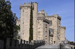 19th-century castle with 360° panoramic view!