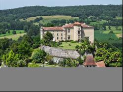 Exceptional listed Renaissance Château with outbuildings