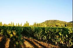 91 ha wine growing charming property in the Aude with houses and buildings