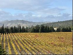 91 ha wine growing charming property in the Aude with houses and buildings