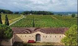 Magnificent 25 ha wine-growing property with AOP Cahors vines, with Manor House and Build