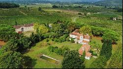 Magnificent 25 ha wine-growing property with AOP Cahors vines, with Manor House and Build