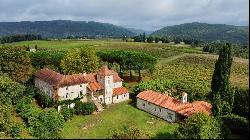 Magnificent 25 ha wine-growing property with AOP Cahors vines, with Manor House and Build