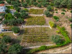 Country Estate in Corfu