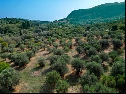 Country Estate in Corfu