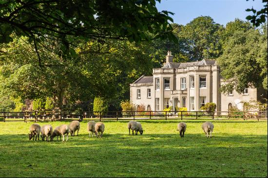 Springfield House, Celbridge, County Kildare