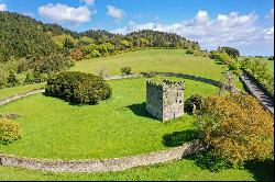 Dunran Demesne, On Approx. 39 Ha (98 Acres), Ashford, County Wicklow, A67P300