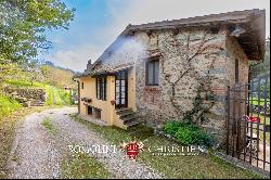 RESTORED FORMER MILL FOR SALE IN TERRANUOVA BRACCIOLINI, TUSCANY