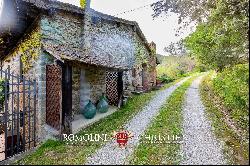 RESTORED FORMER MILL FOR SALE IN TERRANUOVA BRACCIOLINI, TUSCANY