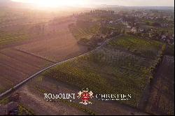 BOUTIQUE WINERY FOR SALE IN MONTEPULCIANO, TUSCANY