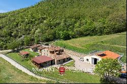 ORGANIC FARM WITH AGRITURISMO FOR SALE IN SANSEPOLCRO, TUSCANY