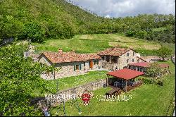 ORGANIC FARM WITH AGRITURISMO FOR SALE IN SANSEPOLCRO, TUSCANY