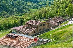 ORGANIC FARM WITH AGRITURISMO FOR SALE IN SANSEPOLCRO, TUSCANY