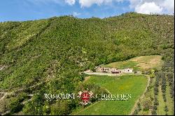 ORGANIC FARM WITH AGRITURISMO FOR SALE IN SANSEPOLCRO, TUSCANY