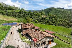 ORGANIC FARM WITH AGRITURISMO FOR SALE IN SANSEPOLCRO, TUSCANY