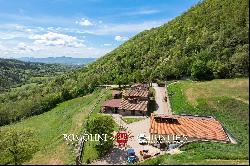 ORGANIC FARM WITH AGRITURISMO FOR SALE IN SANSEPOLCRO, TUSCANY