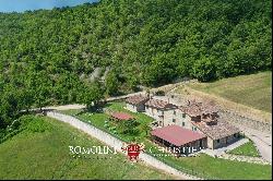 ORGANIC FARM WITH AGRITURISMO FOR SALE IN SANSEPOLCRO, TUSCANY