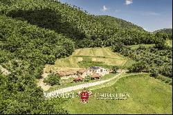 ORGANIC FARM WITH AGRITURISMO FOR SALE IN SANSEPOLCRO, TUSCANY