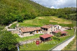 ORGANIC FARM WITH AGRITURISMO FOR SALE IN SANSEPOLCRO, TUSCANY