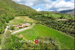 ORGANIC FARM WITH AGRITURISMO FOR SALE IN SANSEPOLCRO, TUSCANY