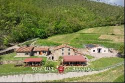 ORGANIC FARM WITH AGRITURISMO FOR SALE IN SANSEPOLCRO, TUSCANY