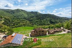 ORGANIC FARM WITH AGRITURISMO FOR SALE IN SANSEPOLCRO, TUSCANY