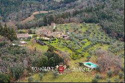 52.1-HA ESTATE WITH AGRITURISMO FOR SALE IN CHIANTI, TUSCANY