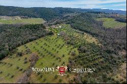 52.1-HA ESTATE WITH AGRITURISMO FOR SALE IN CHIANTI, TUSCANY