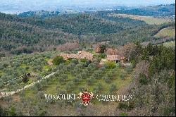 52.1-HA ESTATE WITH AGRITURISMO FOR SALE IN CHIANTI, TUSCANY