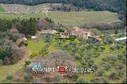 52.1-HA ESTATE WITH AGRITURISMO FOR SALE IN CHIANTI, TUSCANY