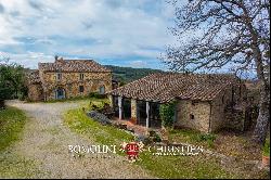 52.1-HA ESTATE WITH AGRITURISMO FOR SALE IN CHIANTI, TUSCANY