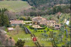 52.1-HA ESTATE WITH AGRITURISMO FOR SALE IN CHIANTI, TUSCANY