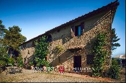 ORGANIC FARM WITH VINEYARD AND RIDING STABLES WITHIN WALKING DISTANCE OF SIENA, FOR SALE.