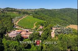 102-HA WINE ESTATE WITH HISTORIC VILLA FOR SALE IN CHIANTI CLASSICO, TUSCANY