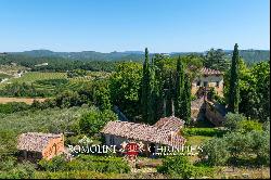 102-HA WINE ESTATE WITH HISTORIC VILLA FOR SALE IN CHIANTI CLASSICO, TUSCANY