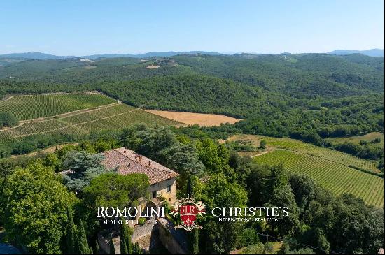 102-HA WINE ESTATE WITH HISTORIC VILLA FOR SALE IN CHIANTI CLASSICO, TUSCANY