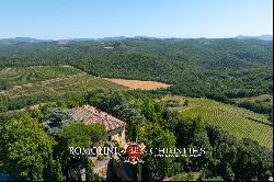 102-HA WINE ESTATE WITH HISTORIC VILLA FOR SALE IN CHIANTI CLASSICO, TUSCANY