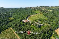 102-HA WINE ESTATE WITH HISTORIC VILLA FOR SALE IN CHIANTI CLASSICO, TUSCANY