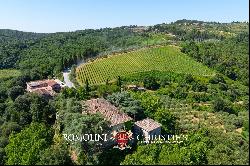 102-HA WINE ESTATE WITH HISTORIC VILLA FOR SALE IN CHIANTI CLASSICO, TUSCANY