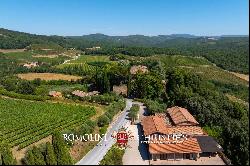 102-HA WINE ESTATE WITH HISTORIC VILLA FOR SALE IN CHIANTI CLASSICO, TUSCANY