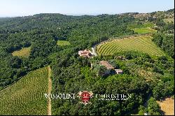 102-HA WINE ESTATE WITH HISTORIC VILLA FOR SALE IN CHIANTI CLASSICO, TUSCANY