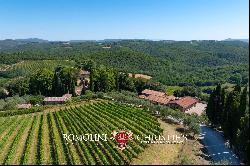 102-HA WINE ESTATE WITH HISTORIC VILLA FOR SALE IN CHIANTI CLASSICO, TUSCANY