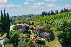 102-HA WINE ESTATE WITH HISTORIC VILLA FOR SALE IN CHIANTI CLASSICO, TUSCANY