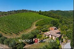 102-HA WINE ESTATE WITH HISTORIC VILLA FOR SALE IN CHIANTI CLASSICO, TUSCANY