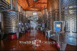 CHIANTI COLLI ARETINI WINE ESTATE FOR SALE IN CIVITELLA IN VALDICHIANA, TUSCANY